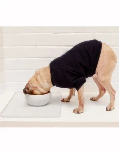 Speckle Silicone Suction Food & Water Bowl