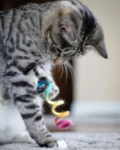 Spring Wool Cat Toy