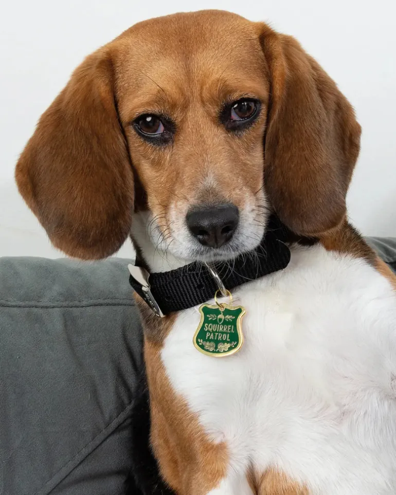Squirrel Patrol Dog Collar Charm