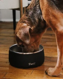 Stainless Steel Dog Bowl in Onyx