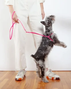 Step-In Adjustable Dog Harness in Neon Pink (Made in the USA)