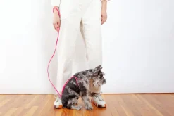 Step-In Adjustable Dog Harness in Neon Pink (Made in the USA)