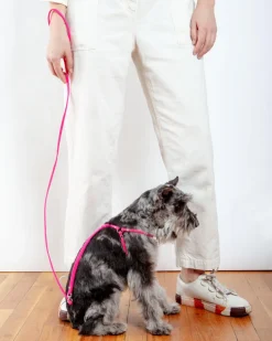 Step-In Adjustable Dog Harness in Neon Pink (Made in the USA)
