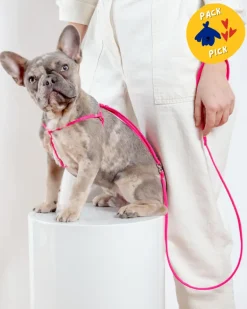 Step-In Adjustable Dog Harness in Neon Pink (Made in the USA)