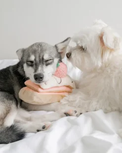 Strawberry Mille-Feuille Nosework Dog Toy