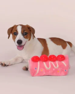 Strawberry Snuffle Cake Dog Treat Toy