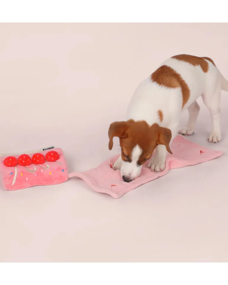 Strawberry Snuffle Cake Dog Treat Toy
