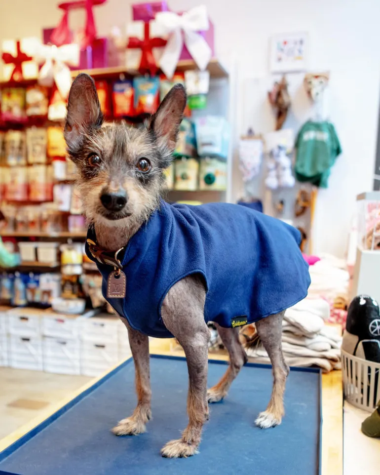 Stretch Fleece in Navy Blue
