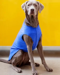 Stretch Fleece Pullover in Cornflower Blue