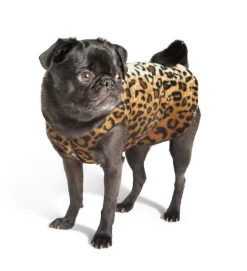 Stretch Fleece Pullover in Leopard Print