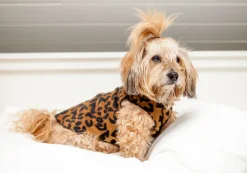 Stretch Fleece Pullover in Leopard Print