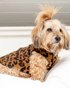 Stretch Fleece Pullover in Leopard Print