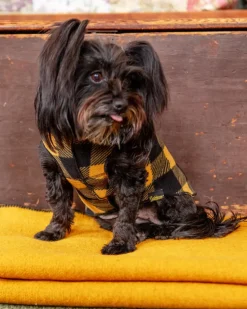 Stretch Fleece Pullover in Yellow Buffalo Plaid (Made in the USA)