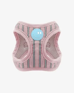 Stripe Daisy Dog Harness
