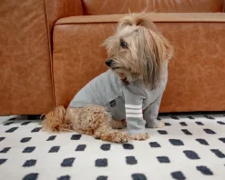 Stripe Point Turtleneck in Grey (Dog & Co. Exclusive) (FINAL SALE)