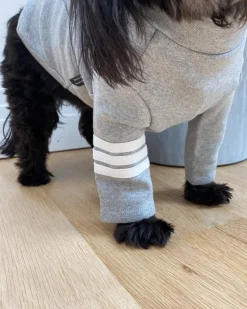 Stripe Point Turtleneck in Grey (Dog & Co. Exclusive) (FINAL SALE)