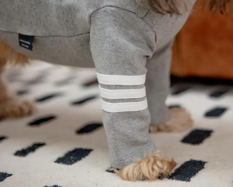 Stripe Point Turtleneck in Grey (Dog & Co. Exclusive) (FINAL SALE)