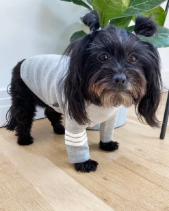 Stripe Point Turtleneck in Grey (Dog & Co. Exclusive) (FINAL SALE)