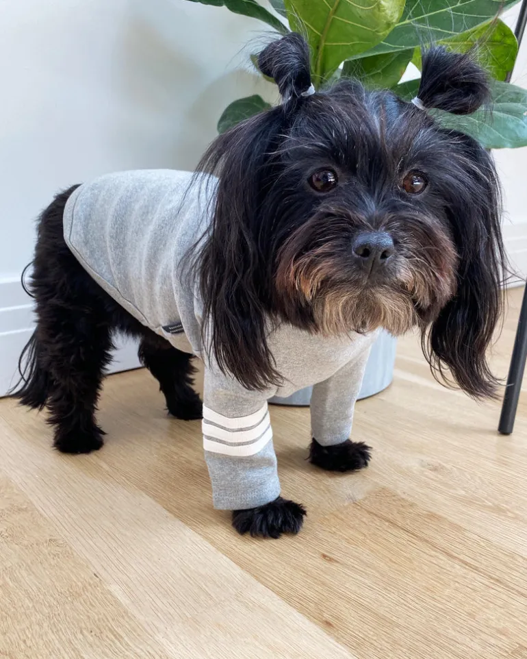 Stripe Point Turtleneck in Grey (Dog & Co. Exclusive) (FINAL SALE)