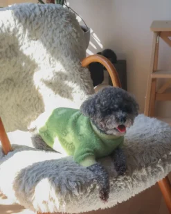 Sunny Day Soft Cloud Dog Sweater (FINAL SALE)