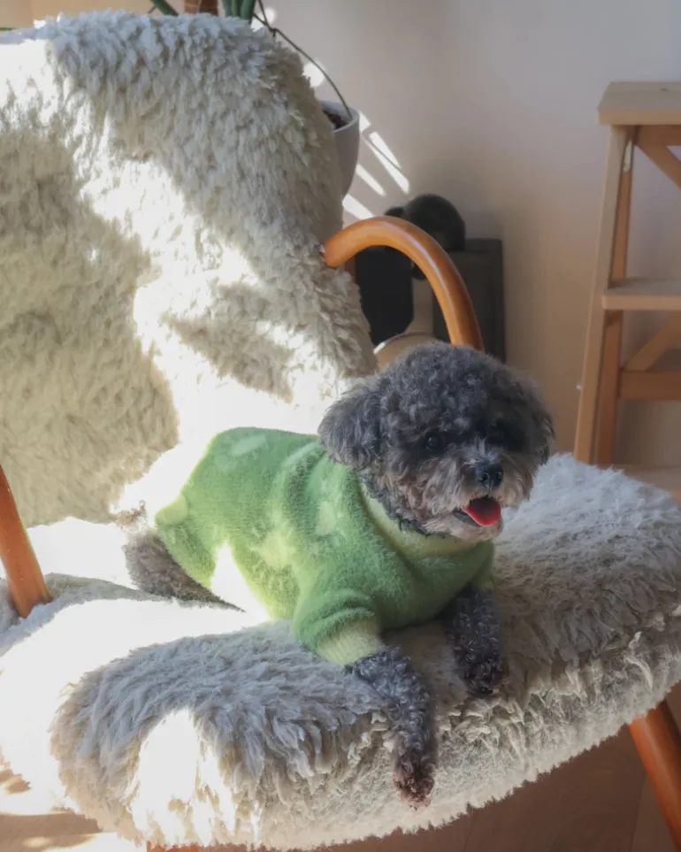 Sunny Day Soft Cloud Dog Sweater (FINAL SALE)