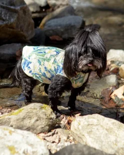 Sun Shield Dog Tee in Daffodils (Made in the USA)