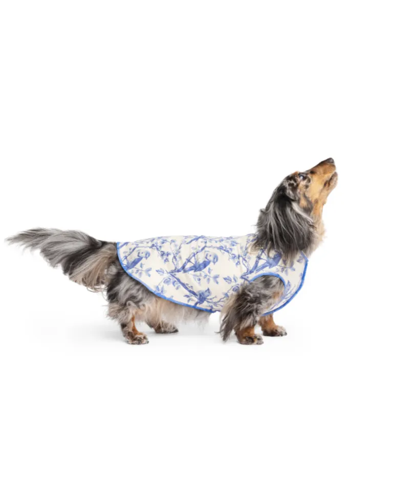 Sun Shield Tee in Blue Bird Toile