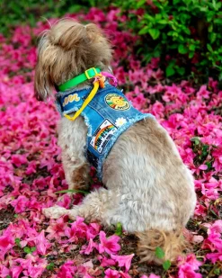 Sunshine Positivity Denim Dog Harness (Made in the USA) (FINAL SALE)