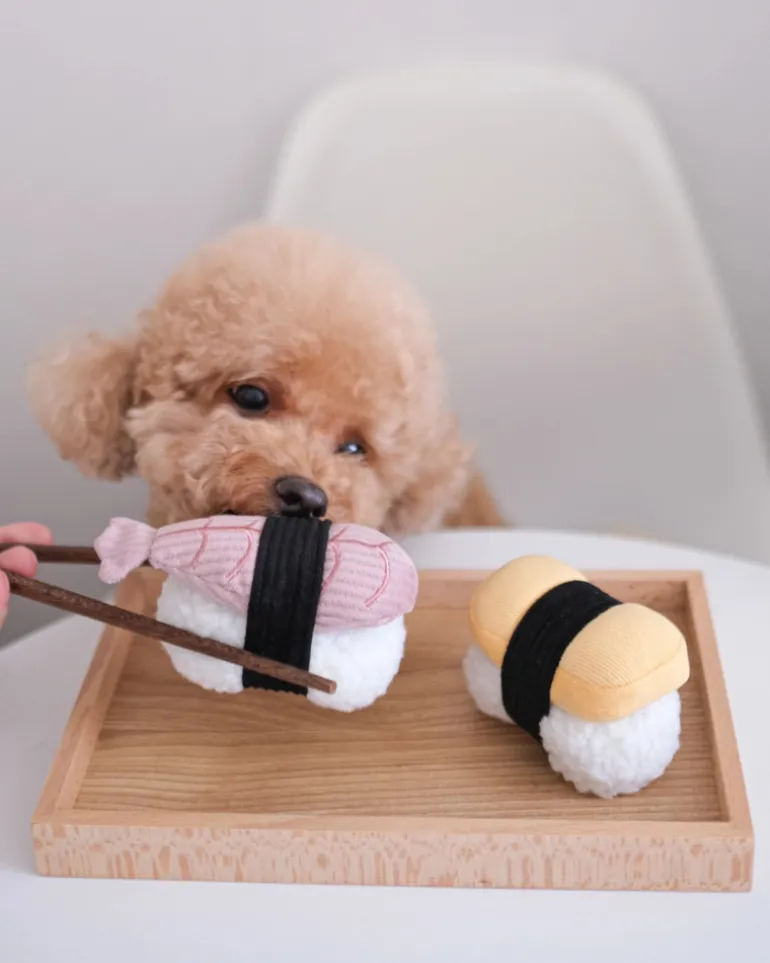 Sushi Enrichment Dog Toy
