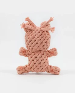 Sweetheart Bear Rope Dog Toy