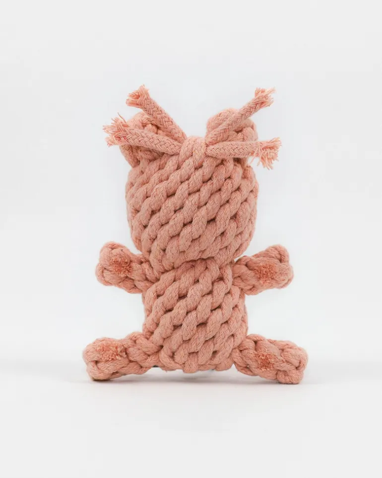 Sweetheart Bear Rope Dog Toy