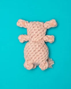 Sweetheart Bear Rope Dog Toy