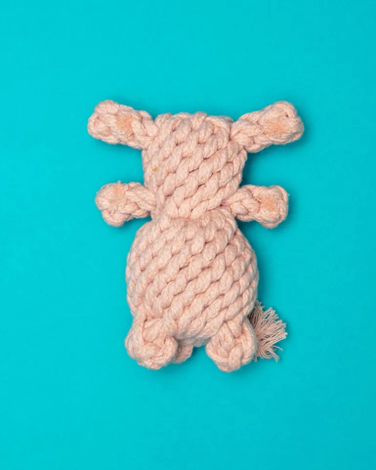 Sweetheart Bear Rope Dog Toy