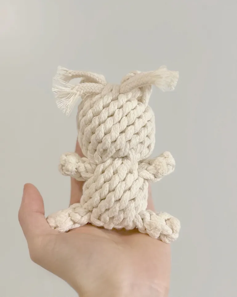 Sweetheart Bear Rope Dog Toy