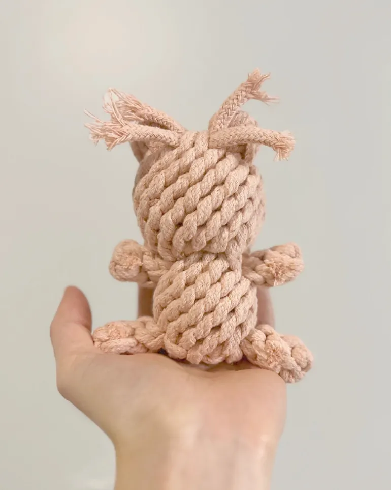 Sweetheart Bear Rope Dog Toy