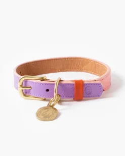 Sweet Leather Dog Leash (Made in Guatemala) (FINAL SALE)