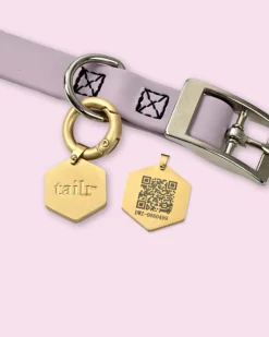Tailr QR ID Tag for Pets (Classic Hanging Tag) (FINAL SALE)