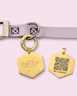 Tailr QR ID Tag for Pets (Classic Hanging Tag) (FINAL SALE)