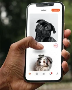 Tailr QR ID Tag for Pets (Classic Hanging Tag) (FINAL SALE)