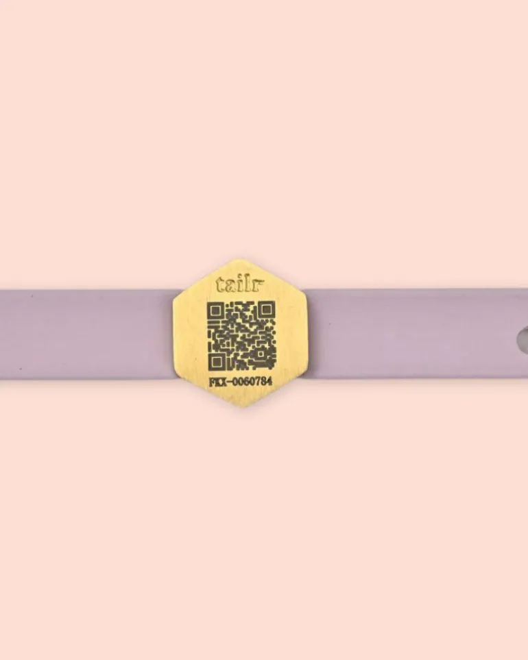 Tailr QR ID Tag for Pets (Slide Tag)