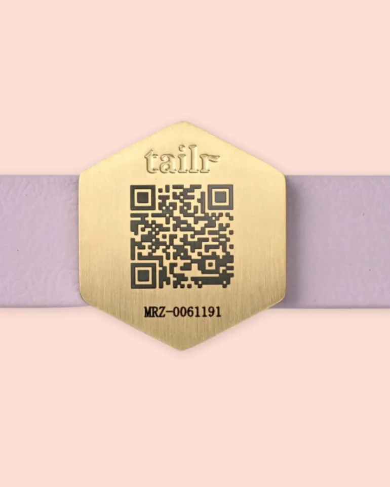 Tailr QR ID Tag for Pets (Slide Tag)