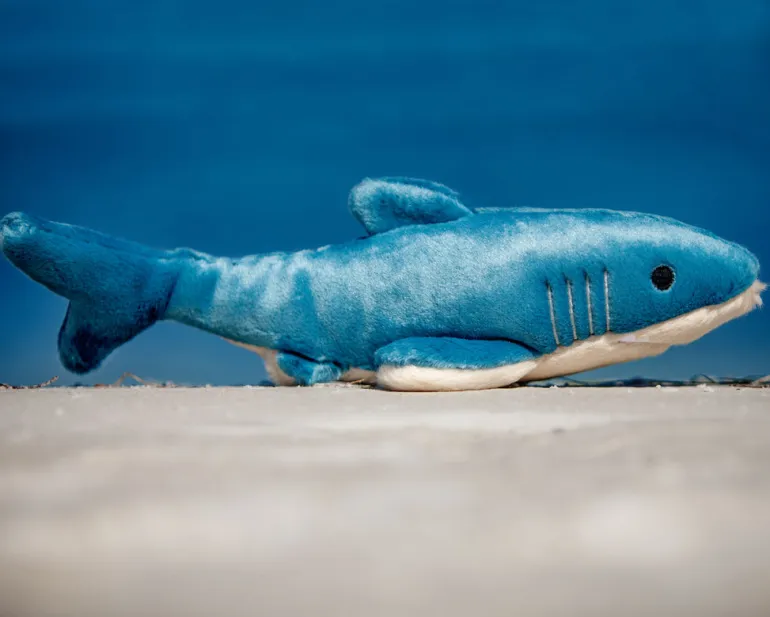 Tank the Shark Plush Squeaky Dog Toy