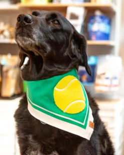 Tennis Applique Dog Bandana