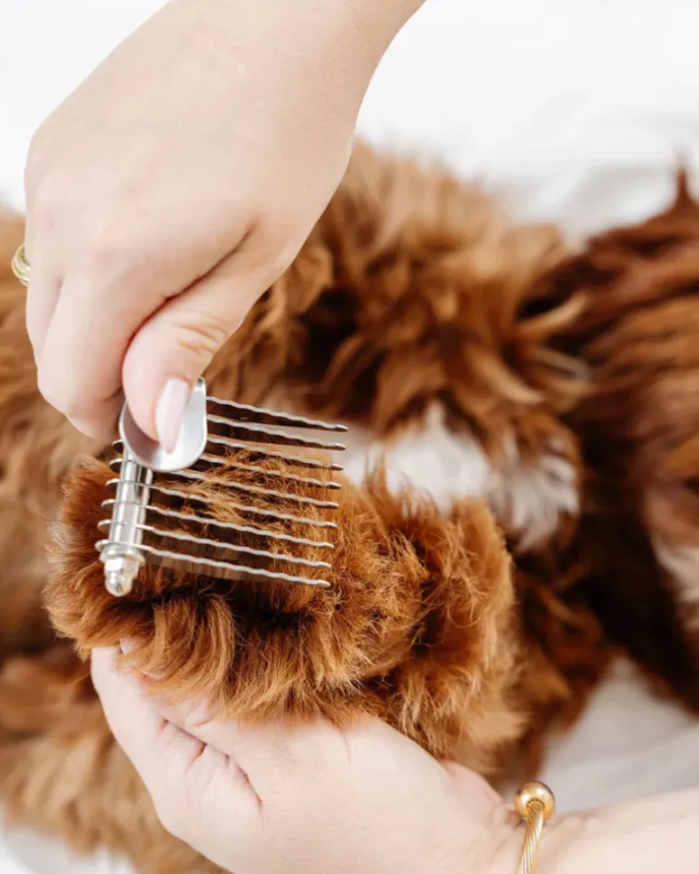 The Dematting Comb for Dogs