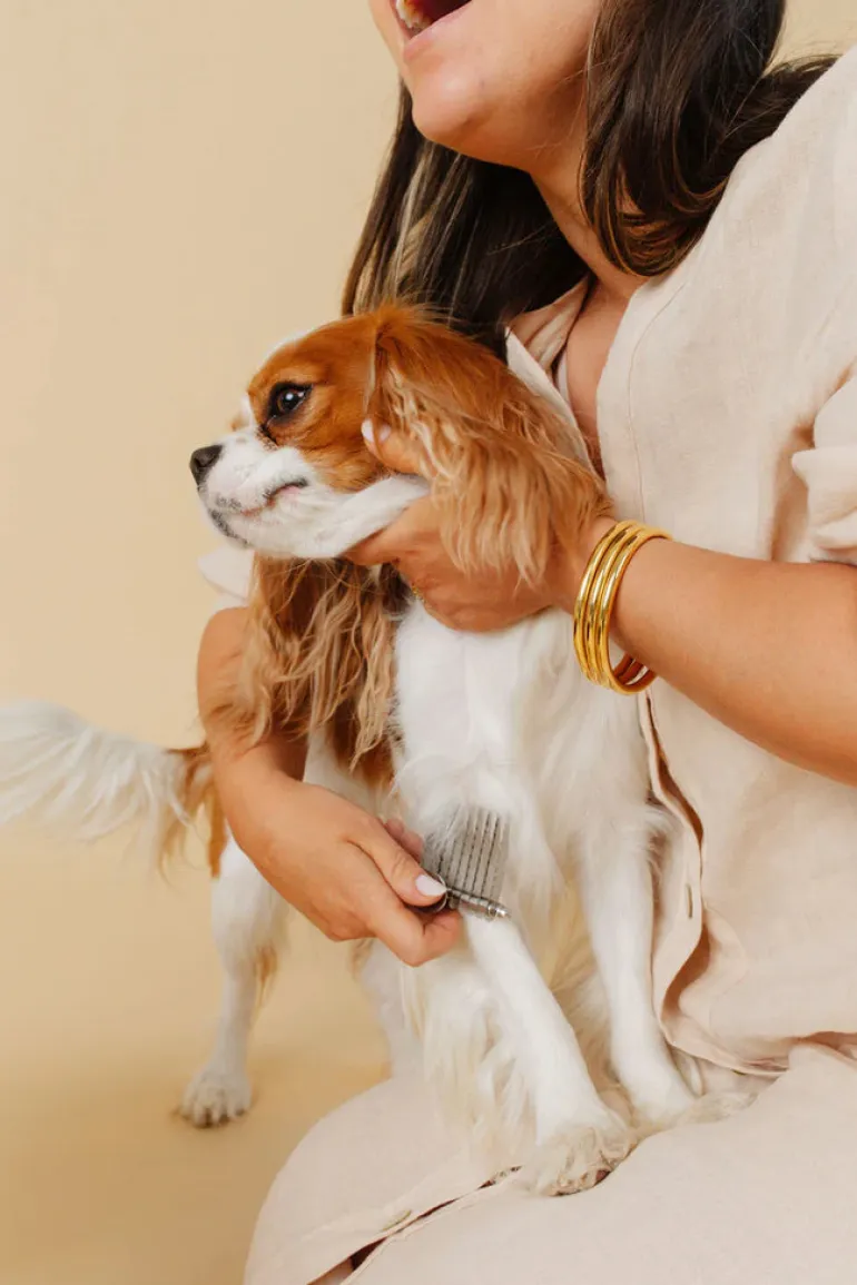The Dematting Comb for Dogs