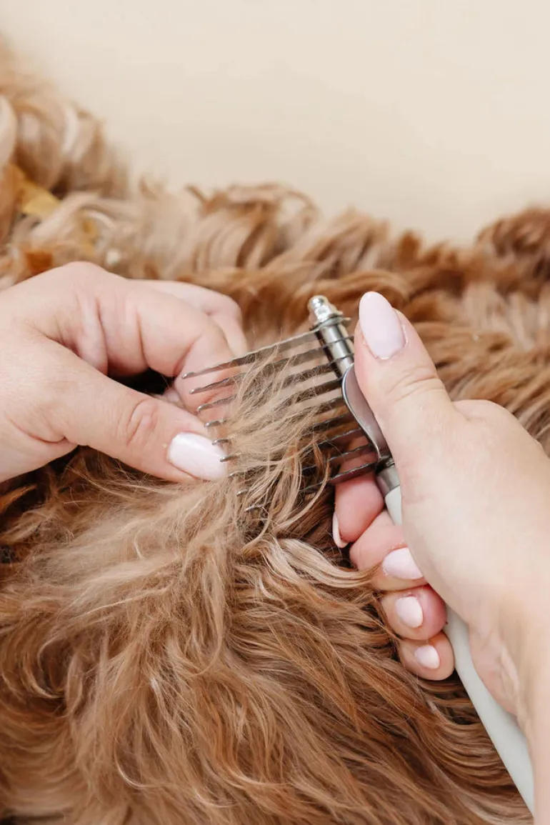 The Dematting Comb for Dogs