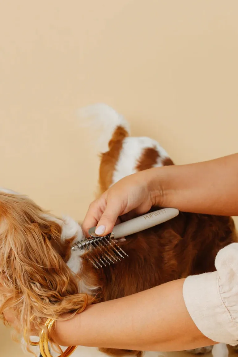 The Dematting Comb for Dogs