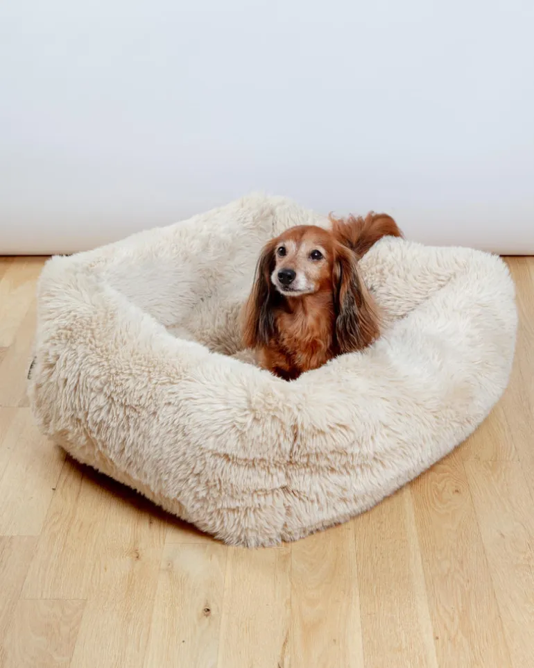 The Franklin Dog Bed in Fluffernutter (Direct-Ship)