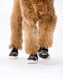 The Kai - Protective Footwear for Dogs in Black or Pink