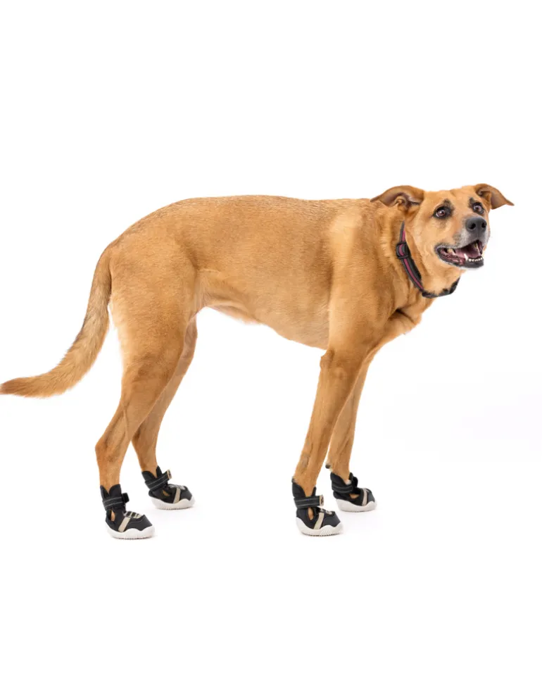 The Kai - Protective Footwear for Dogs in Black or Pink
